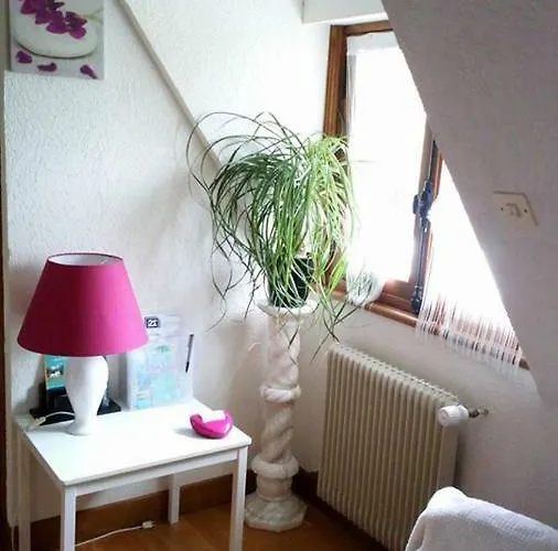 Hibiscus 1er Etage شقة