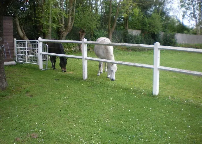 Hibiscus 1er Etage شقة *