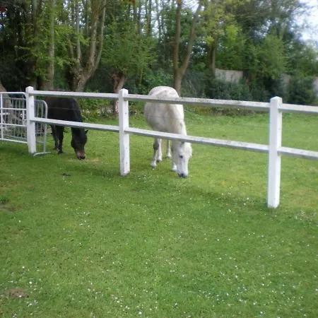 Hibiscus 1er Etage Apartment *