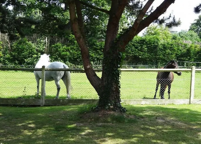 Hibiscus 1er Etage Apartment *